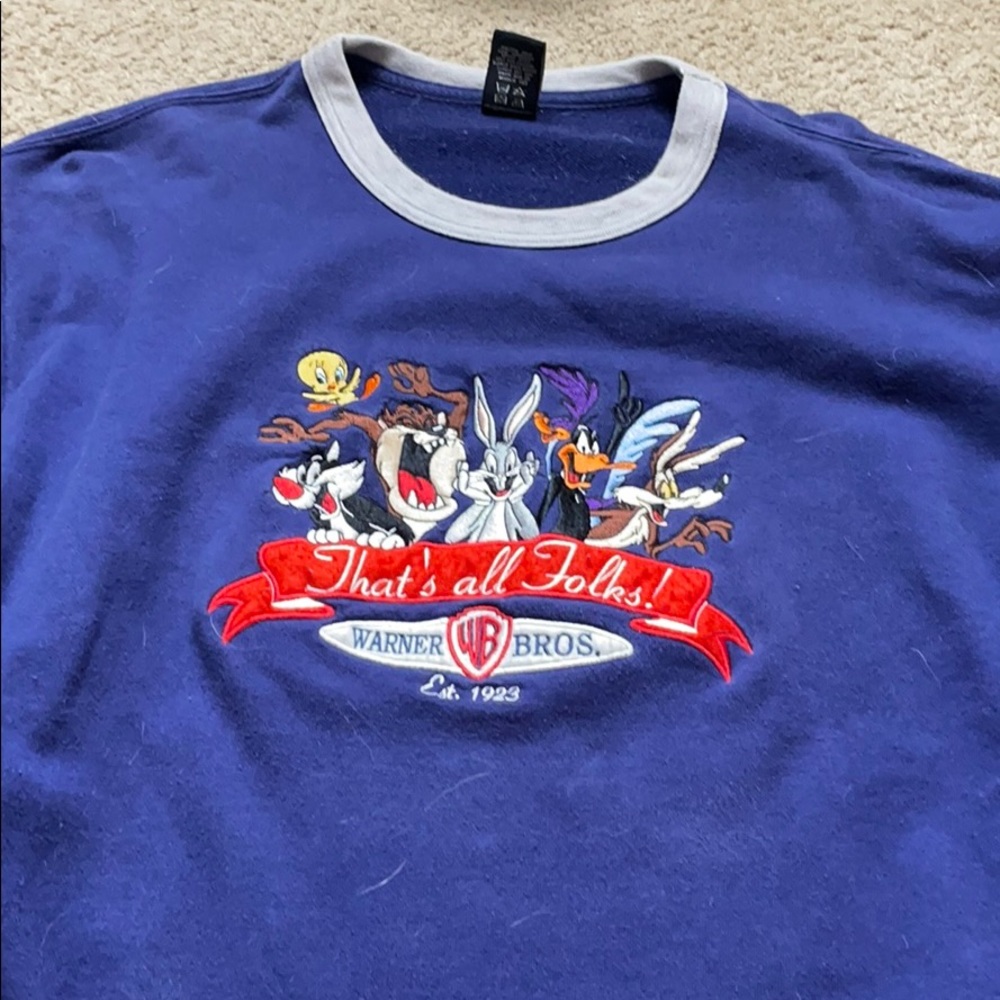 Super cute looney tunes sweater